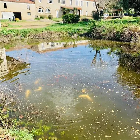 Bidallon Chalet Saint-Michel (Gers)