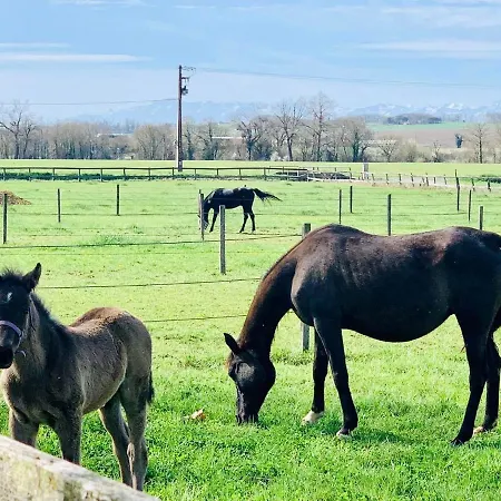 Bidallon Saint-Michel (Gers)