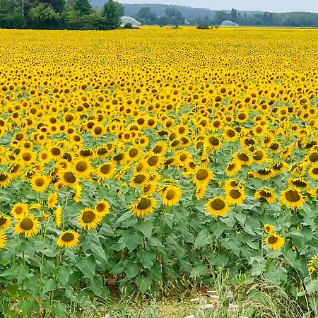 Bidallon * Saint-Michel (Gers)